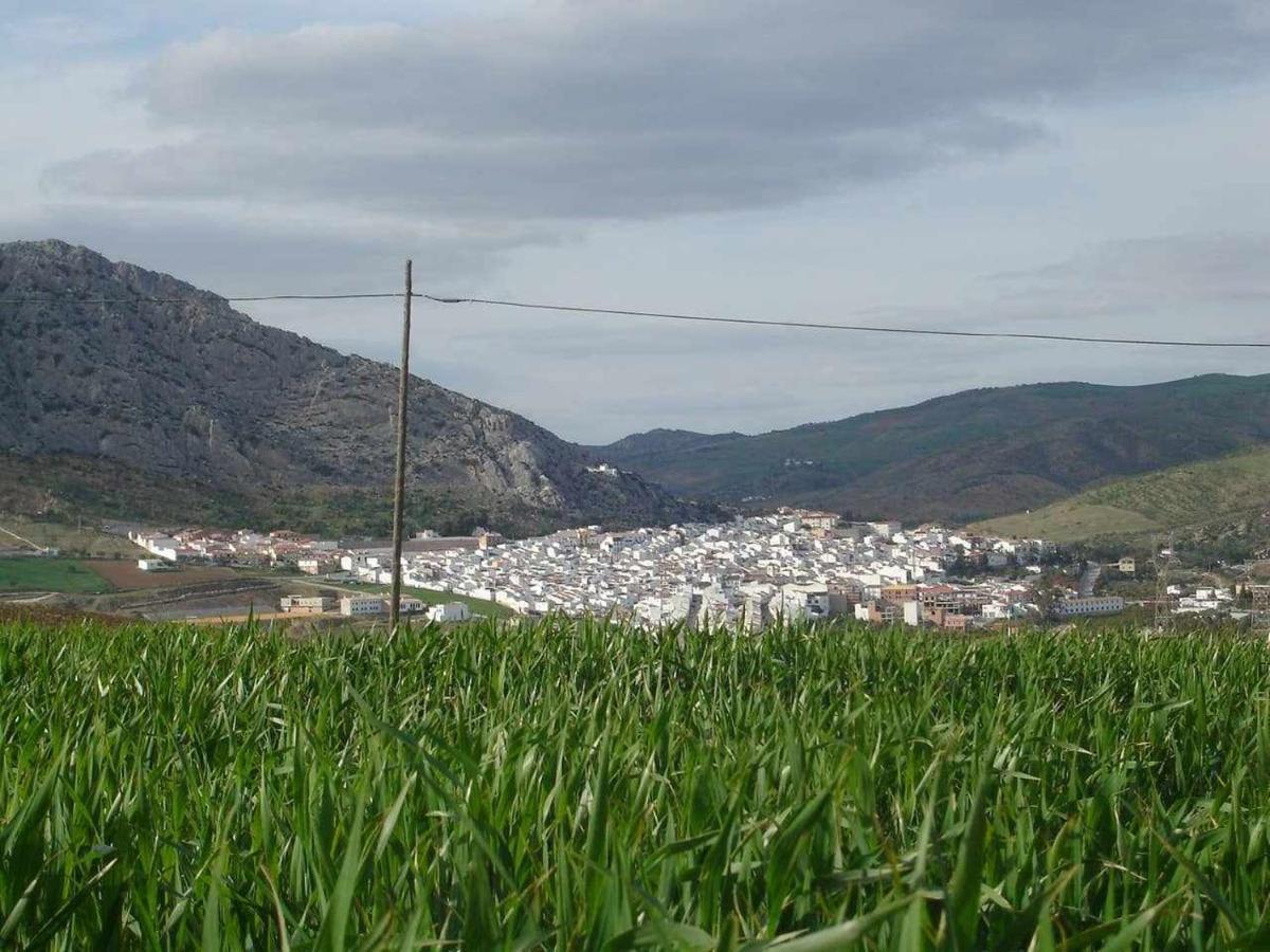 Valle de AbdalagísMirador De La Encina别墅 外观 照片